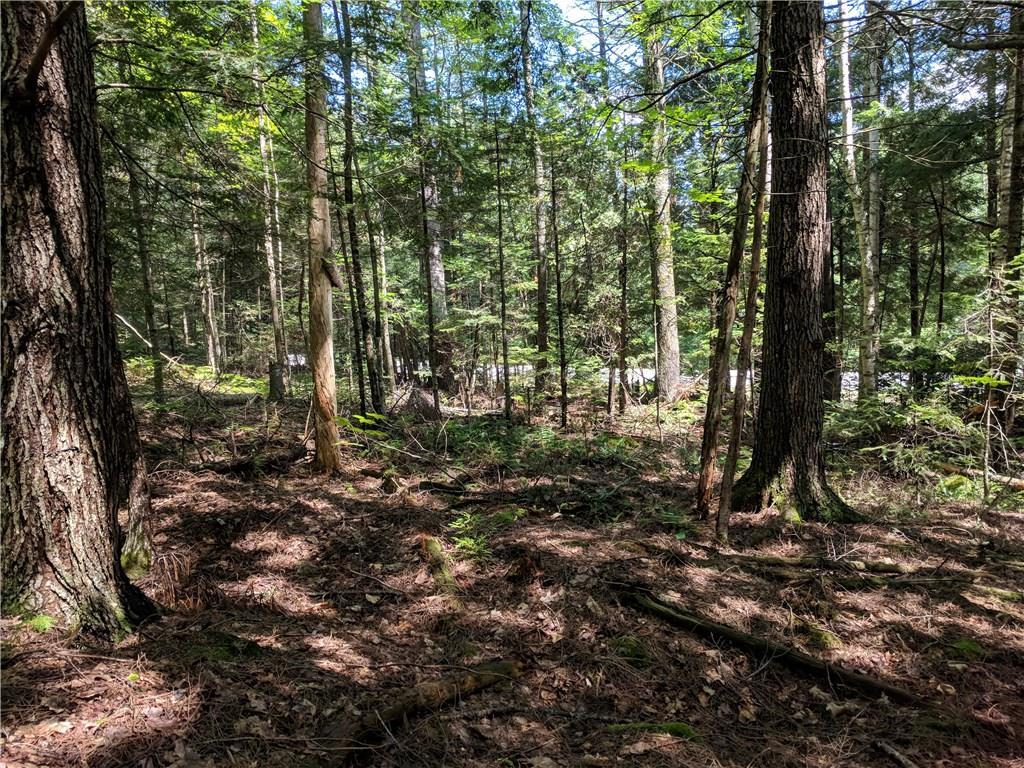 136 Gibbs Road Wiscasset, ME 04578 - Photo 1 of 17 Photo