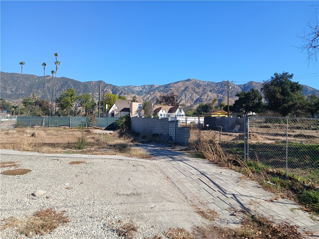 321 West Terrace Street Altadena, CA 91001 - Photo 4 of 11 a view of a dry yard with trees