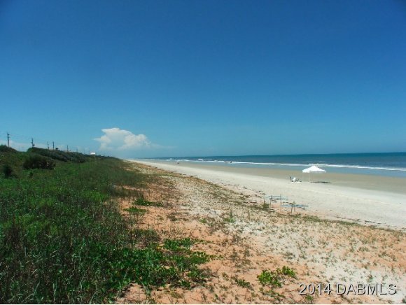 7 Tarpon Avenue Ormond Beach, FL 32176 - Photo 6 of 10 Additional Photo