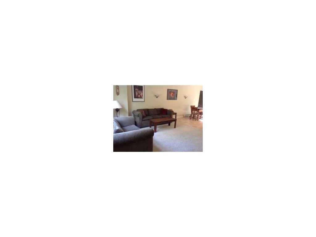 227 Bear Swamp Road Chenango Forks, NY 13746 - Photo 3 of 18 Gallery Image 3