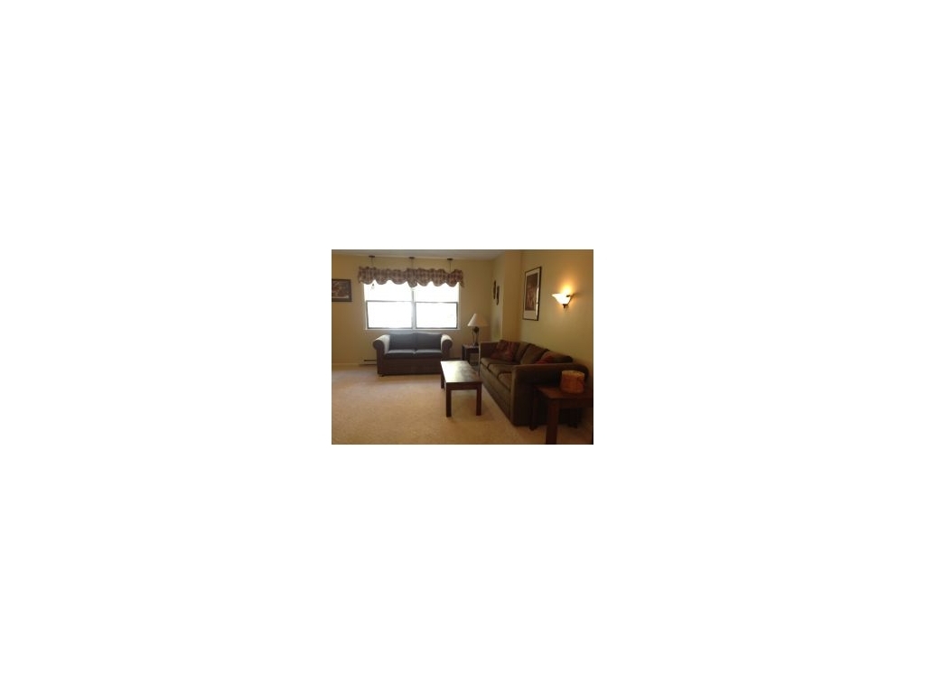 227 Bear Swamp Road Chenango Forks, NY 13746 - Photo 4 of 18 Gallery Image 4
