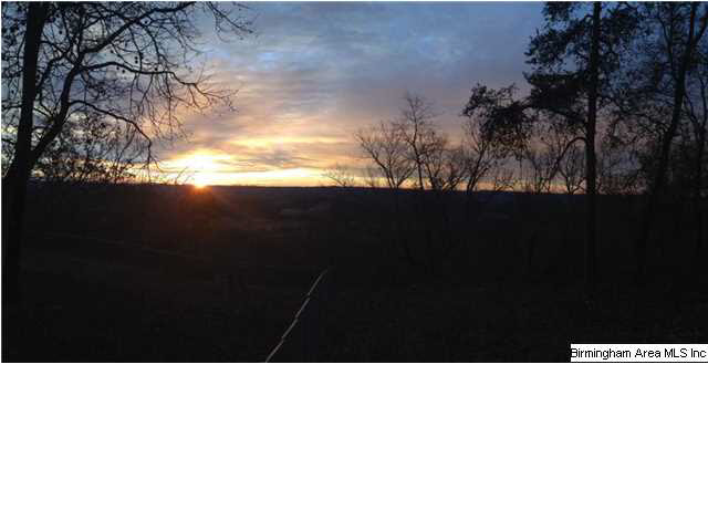 3644 Wilson Chapel Road Altoona, AL 35952 - Photo 21 of 21
