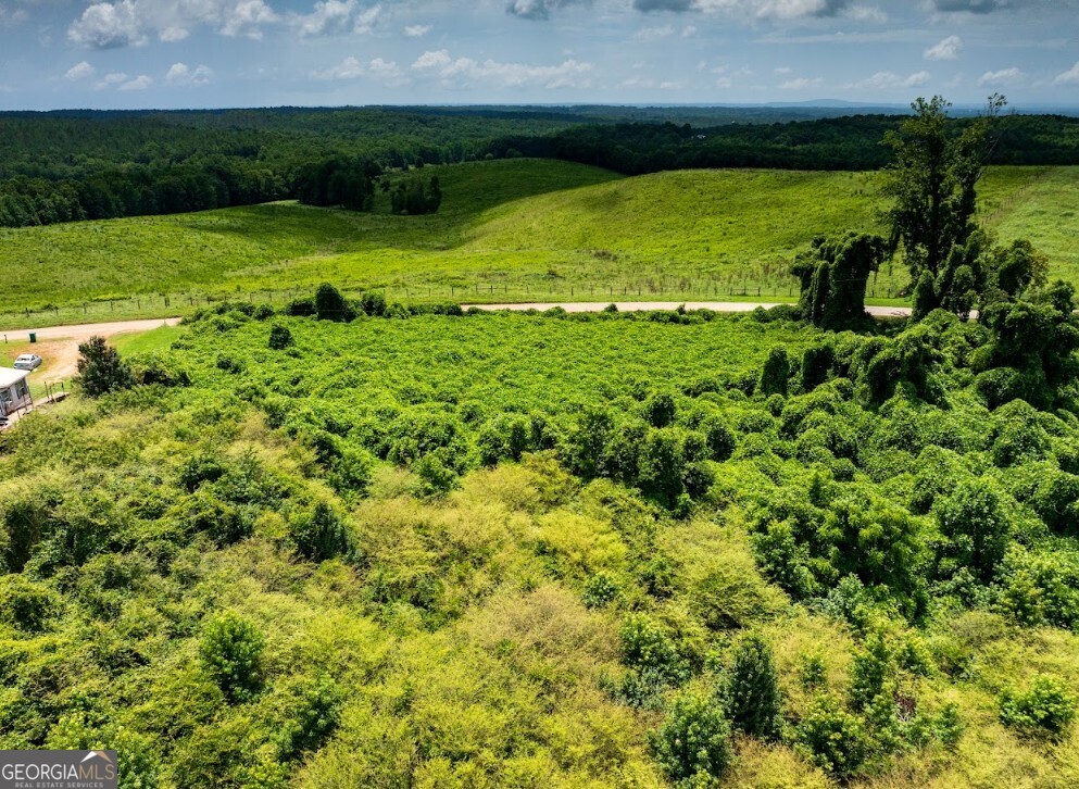 0 County Road 667 Ranburne, AL 36273 - Photo 23 of 29