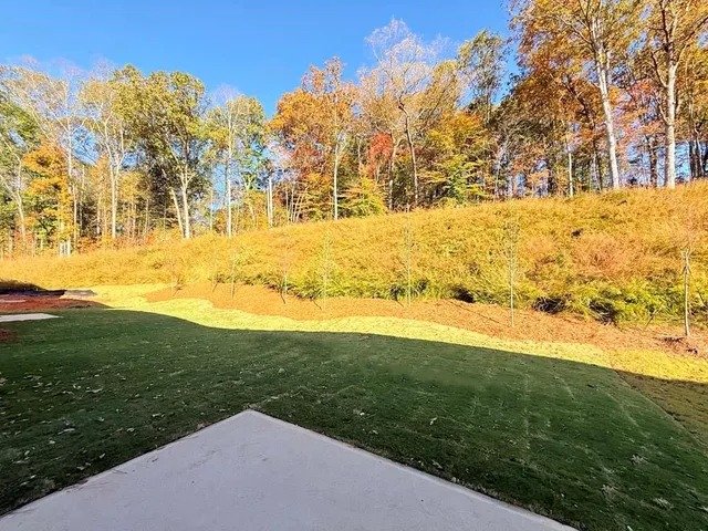 a view of a back yard of the house