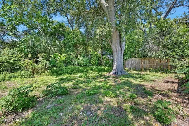 a view of a forest with trees