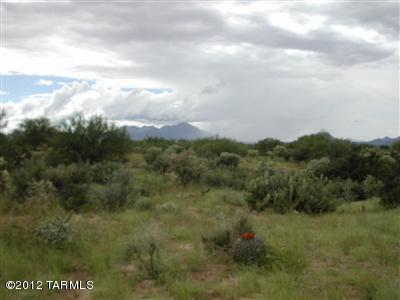 11801 South Wells Fargo Road, Unit 1 Tucson, AZ 85736 - Photo 3 of 5