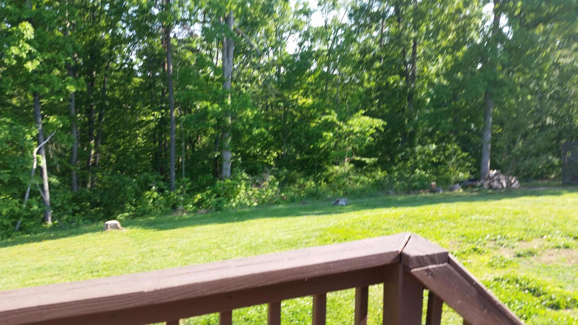 7518 Hunters Ridge Way Knoxville, TN 37914 - Photo 15 of 16 Back Yard