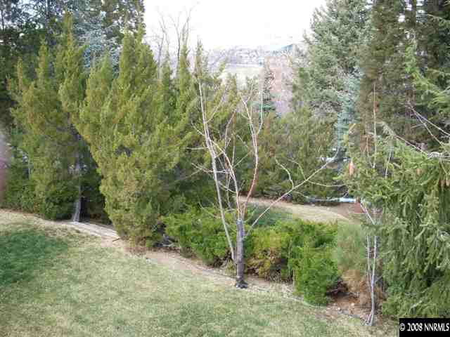 3095 Heatheridge Lane Reno, NV 89509 - Photo 5 of 6 a view of a forest with trees