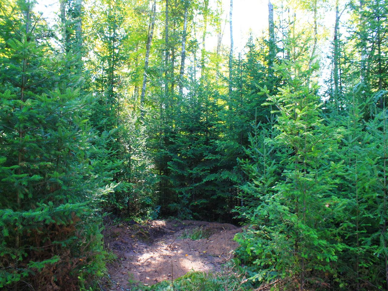 7421 Tall Timbers Road Presque Isle, WI 54557 - Photo 12 of 35 Gallery Image 12