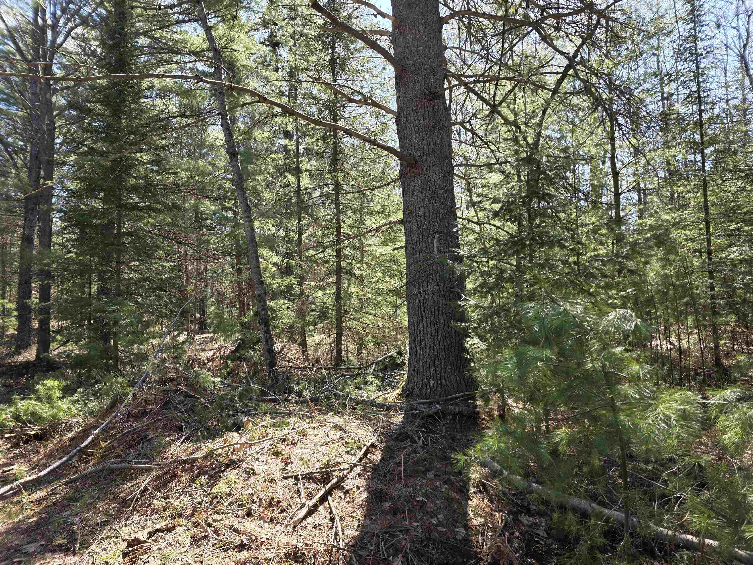 7299 North Truesdale Road Manton, MI 49663 - Photo 29 of 51