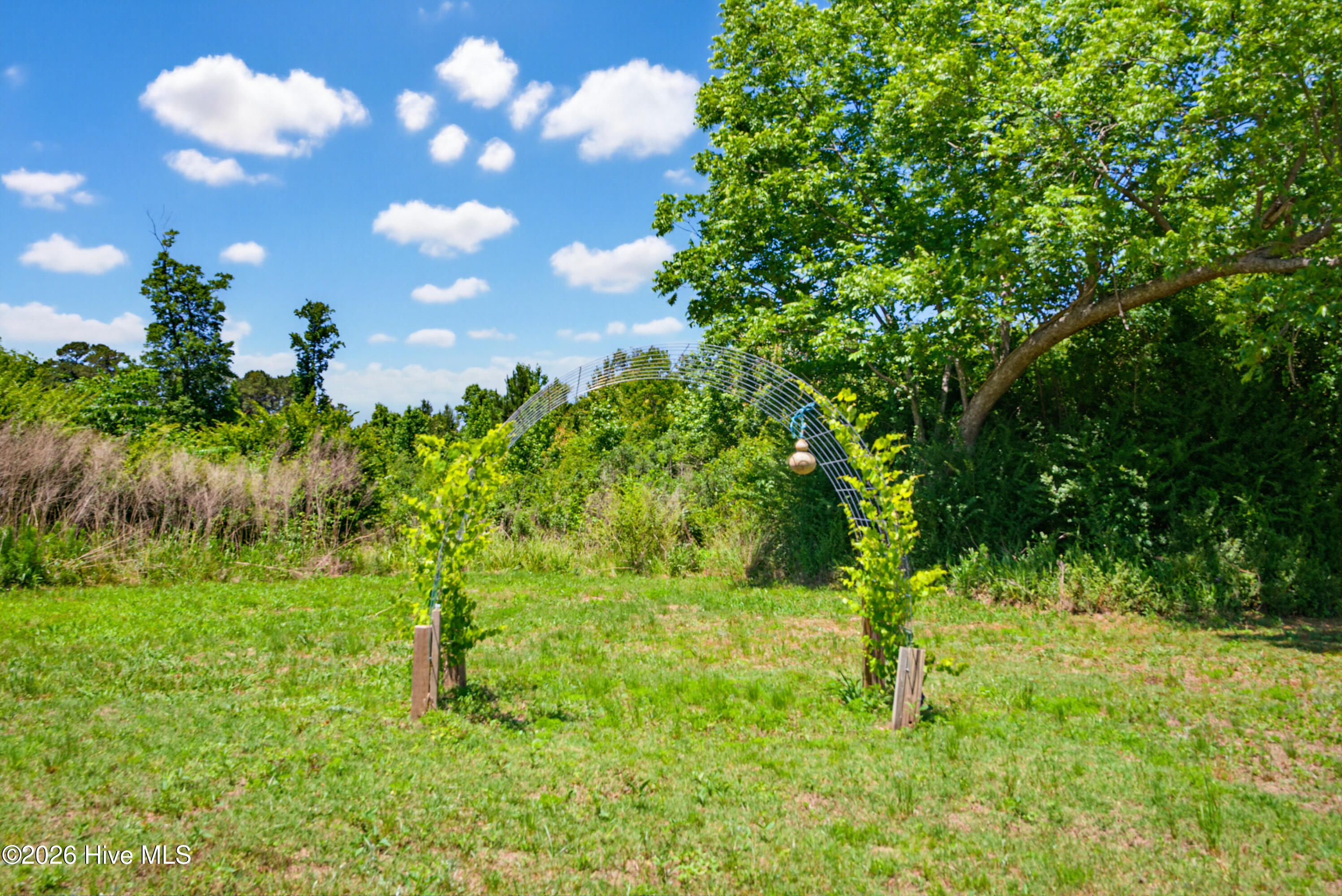 6615 Silver Spoon Road Clarkton, NC 28433 - Photo 51 of 53 MLS_Ready (38 of 40)