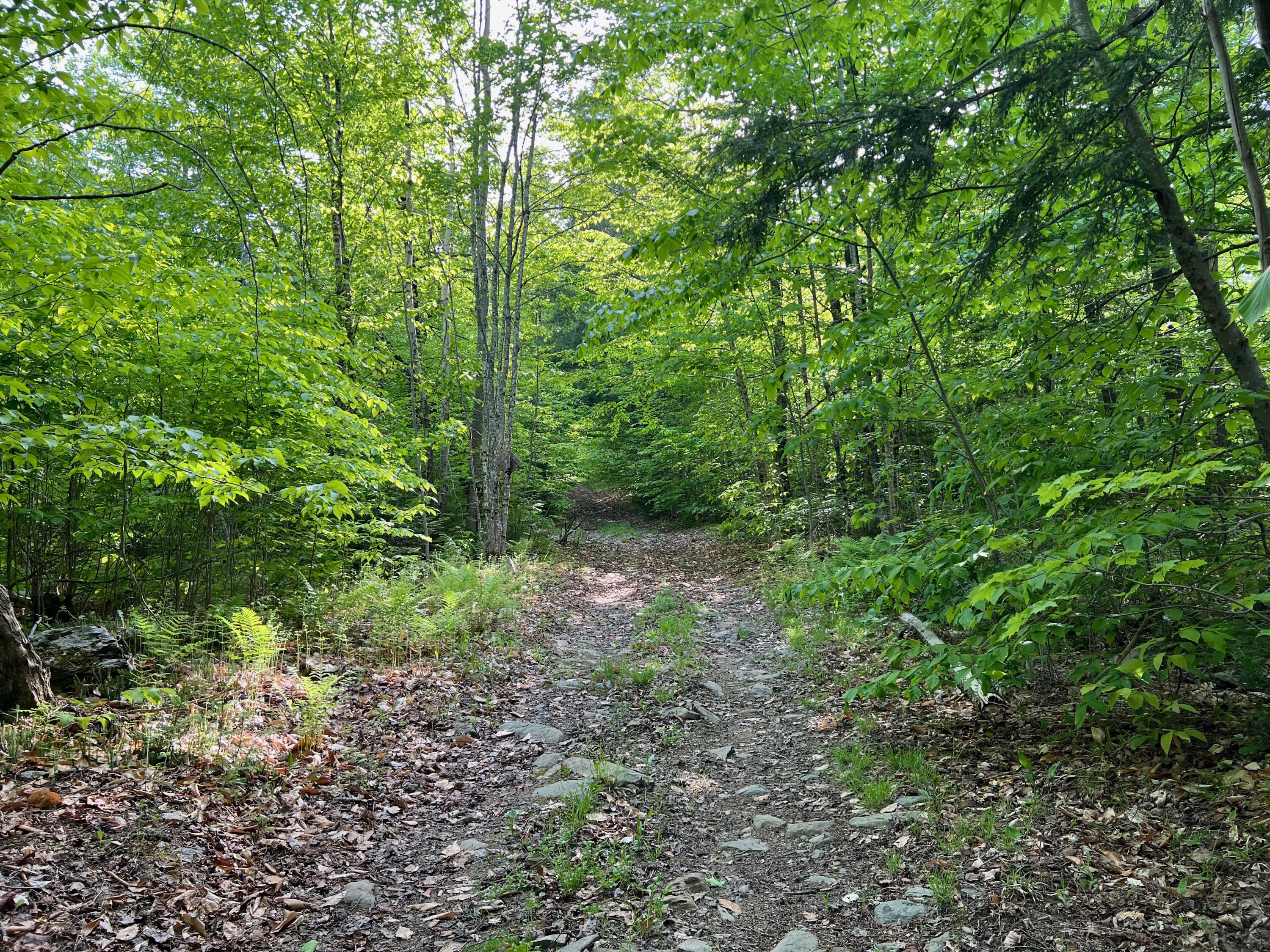 60 Hutchinson Road Linneus, ME 04730 - Photo 19 of 20 IMG_4285