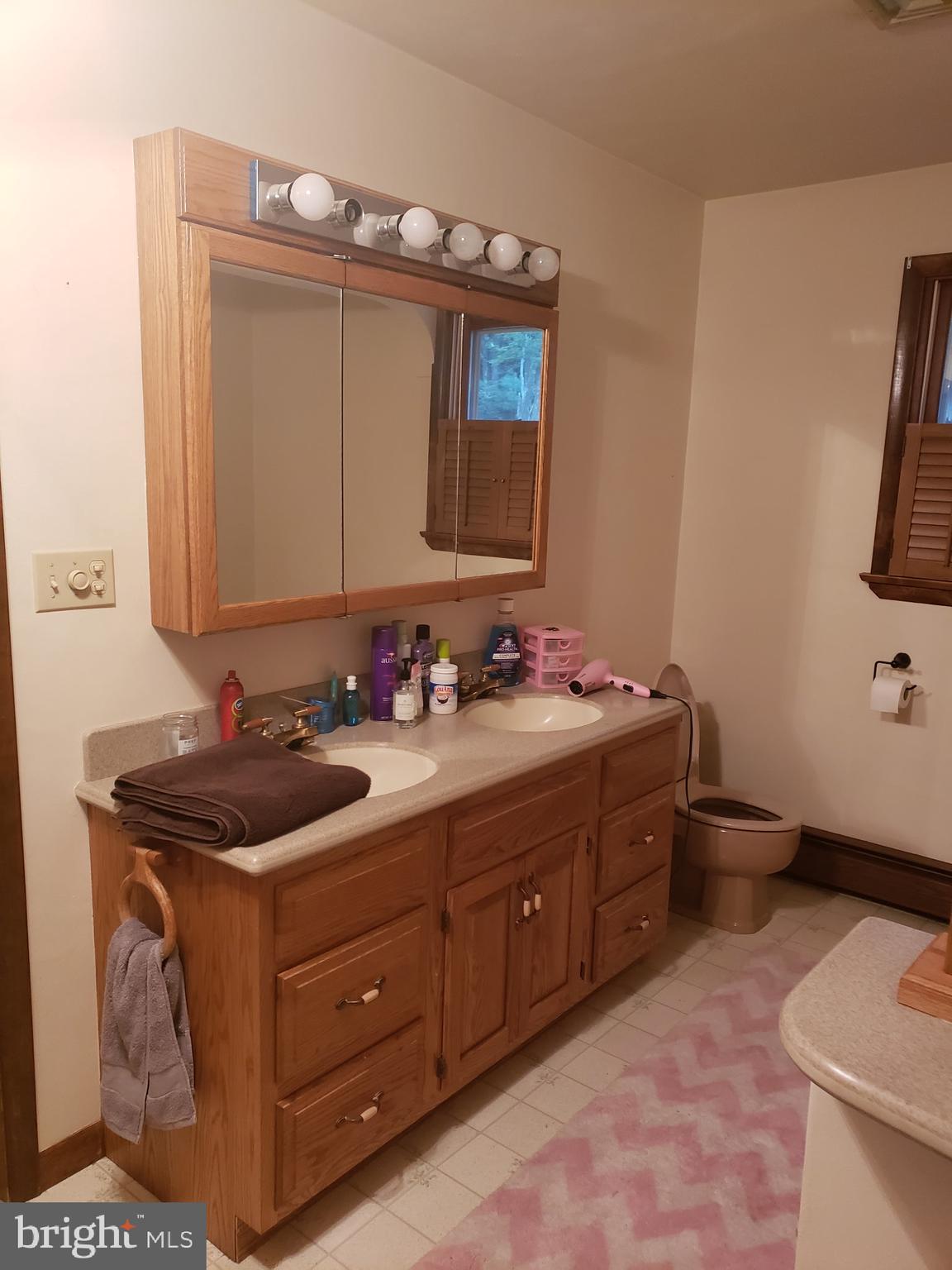 111 Idle Road Marysville, PA 17053 - Photo 13 of 21 a bathroom with a sink and a mirror