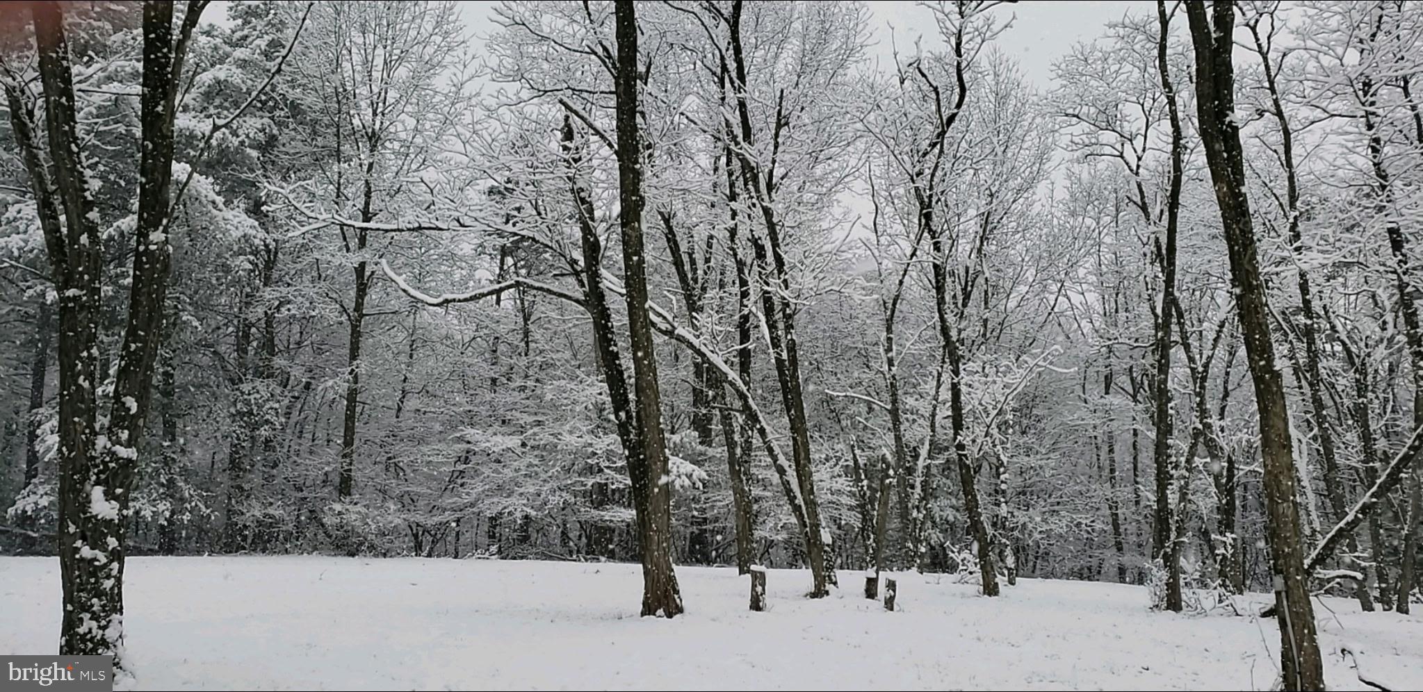 111 Idle Road Marysville, PA 17053 - Photo 18 of 21 a view of a yard with a snow