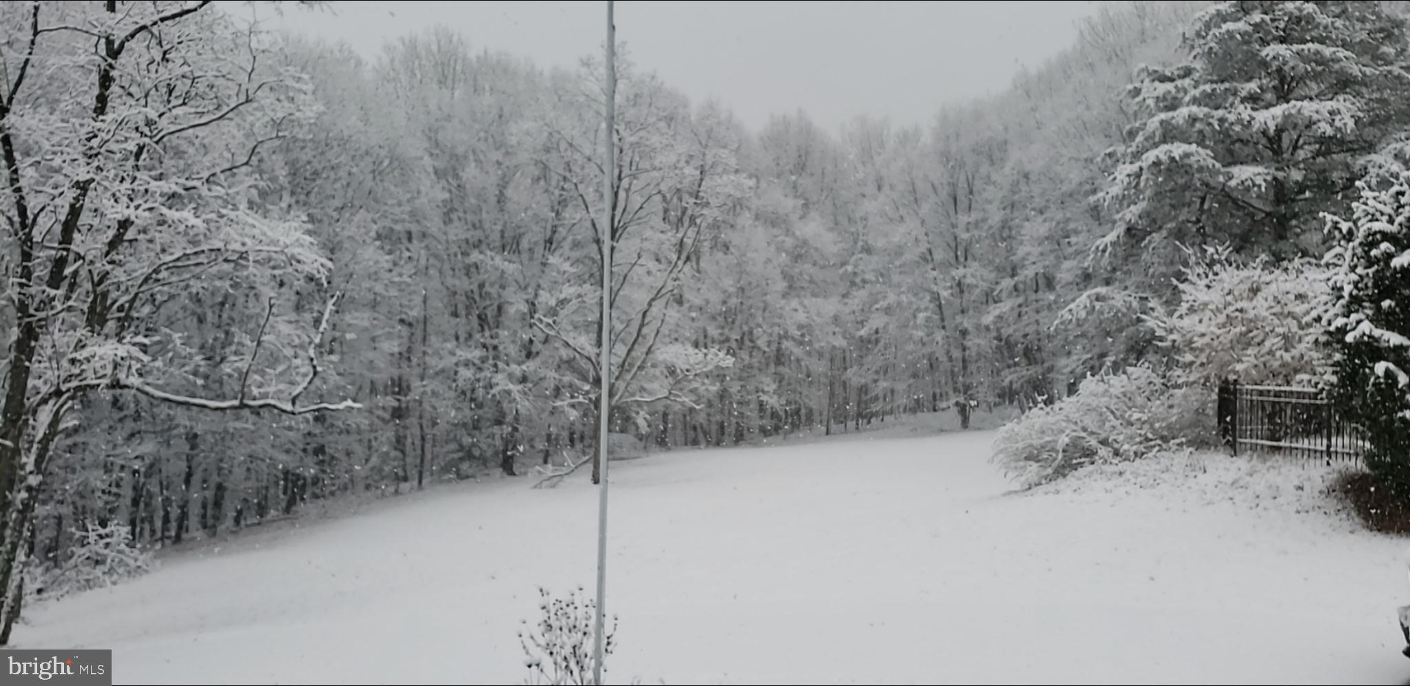 111 Idle Road Marysville, PA 17053 - Photo 19 of 21 a view of a forest with a snow