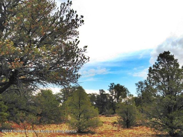 7313 Red Butte Road Williams, AZ 86046 - Photo 5 of 17 DSCN0949