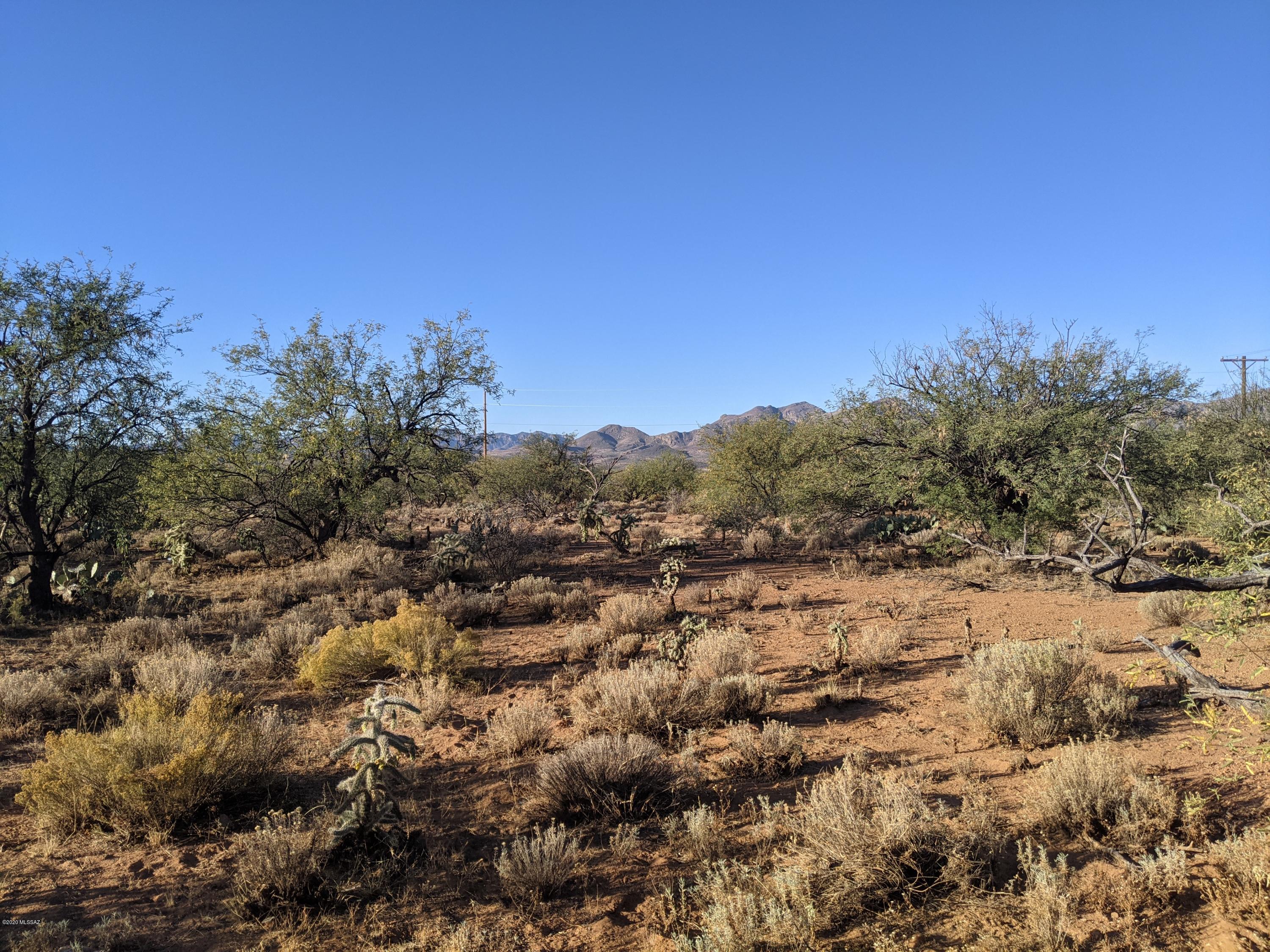 87 Ver Patria, Unit 2 Rio Rico, AZ 85648 - Photo 3 of 3 a view of a dry yard with trees