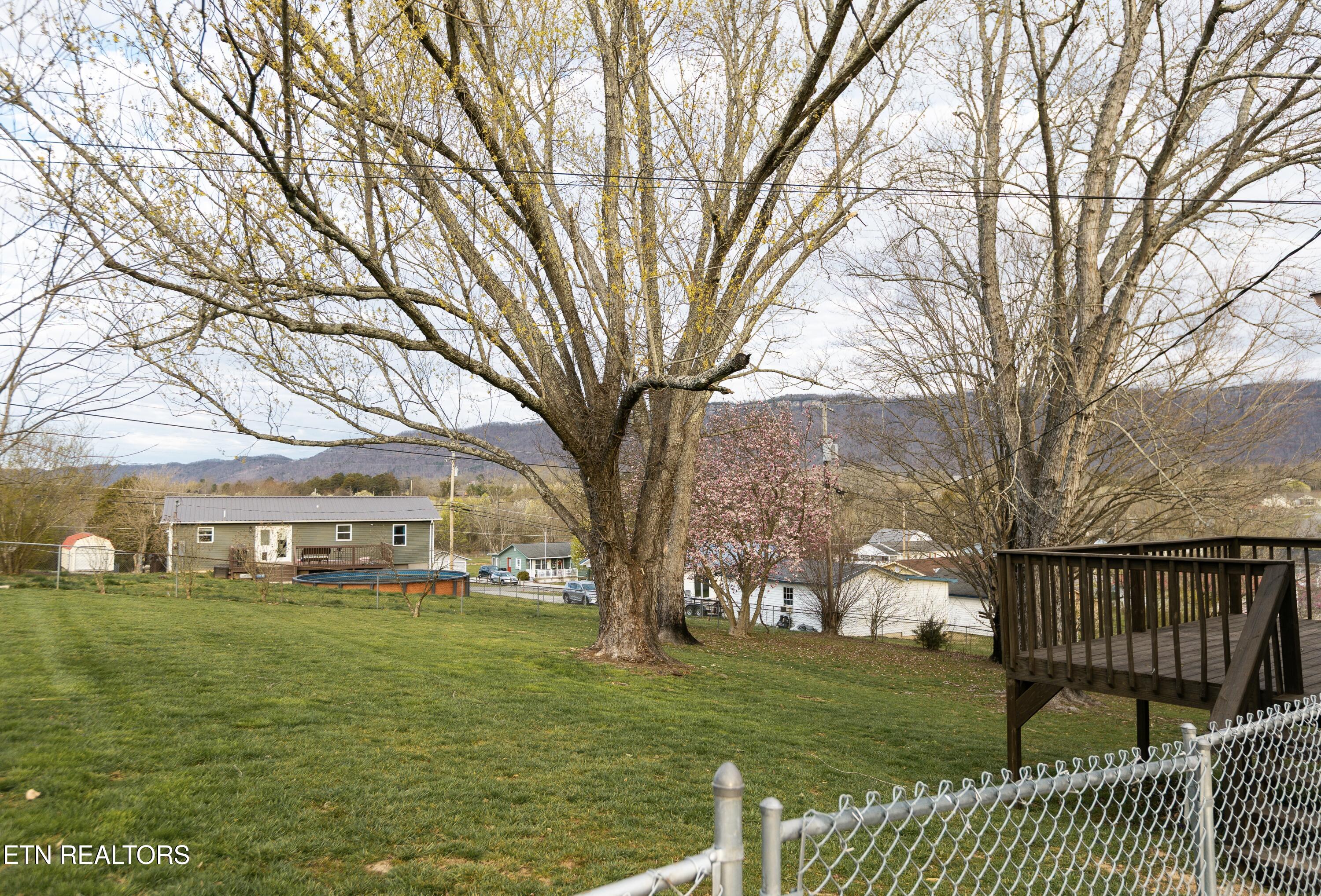 136 Springview Drive La Follette, TN 37766 - Photo 20 of 24 IMG_0139