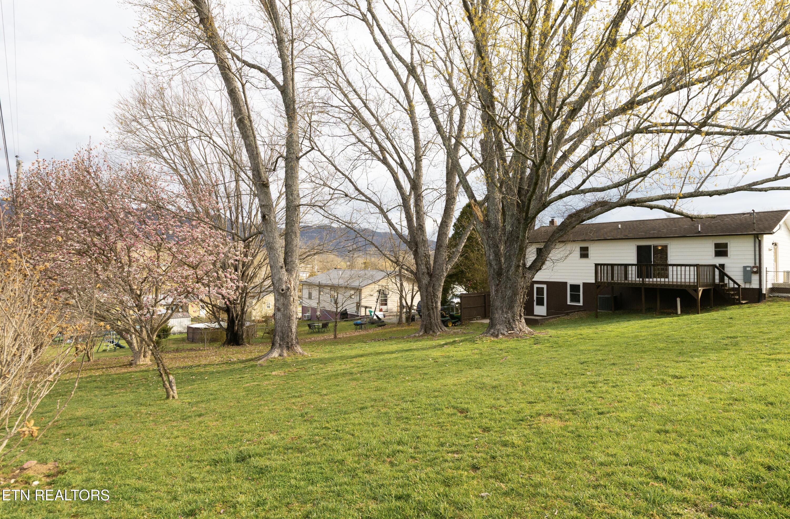 136 Springview Drive La Follette, TN 37766 - Photo 22 of 24 IMG_0143