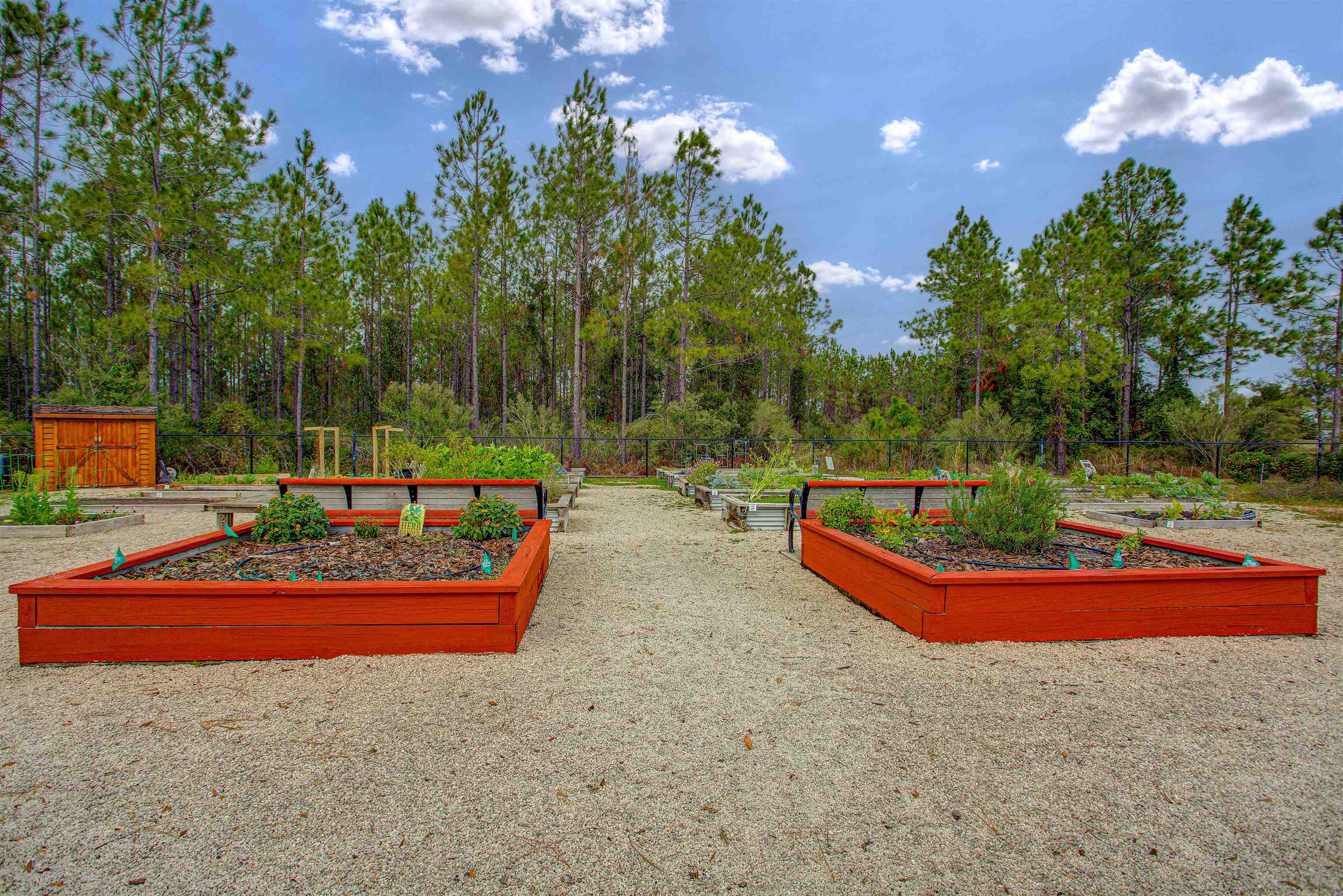 96 Bramble Court St. Augustine, FL 32092 - Photo 59 of 61 a view of a park with large trees