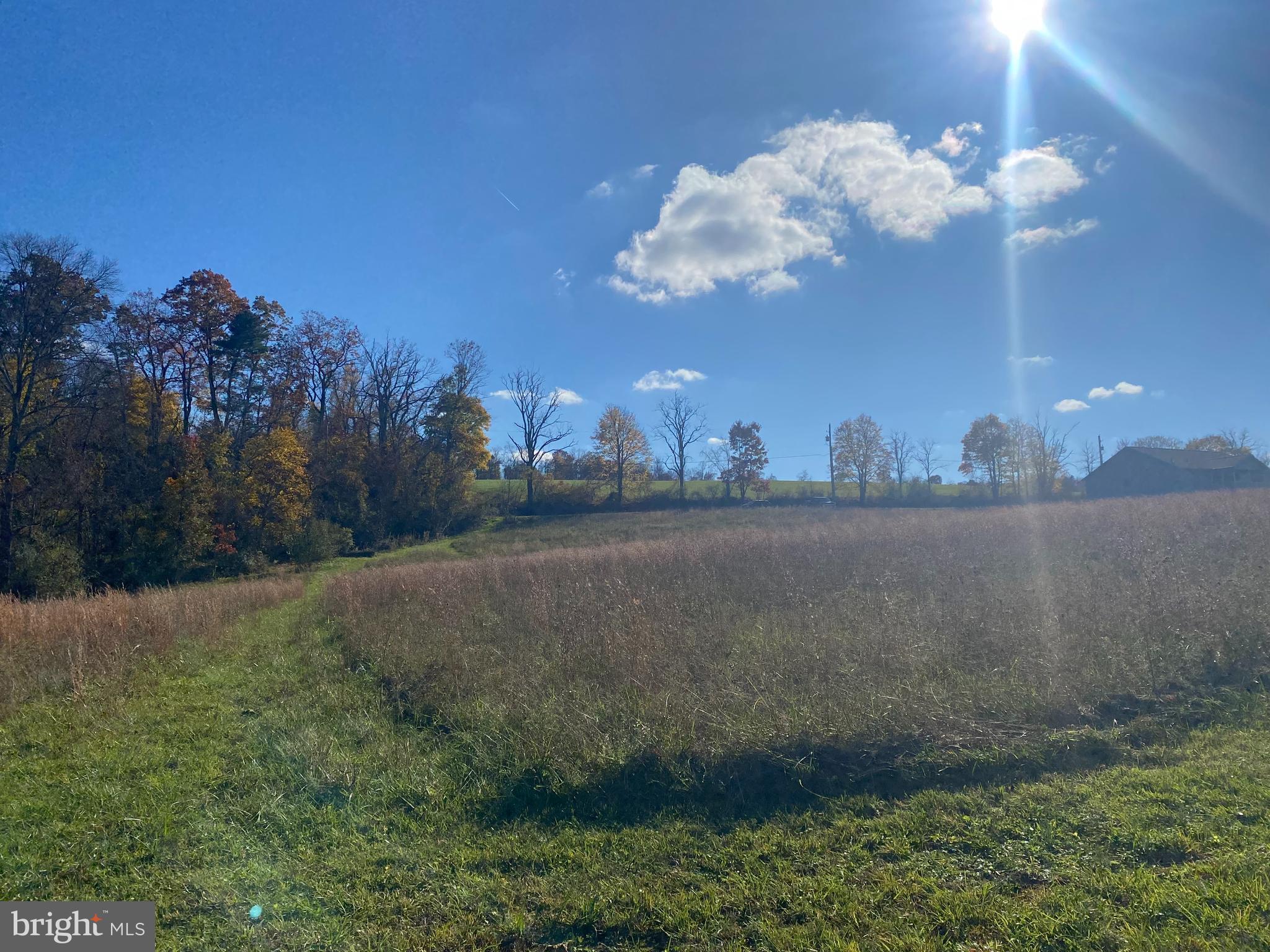 70 Dark Hollow Road Shermans Dale, PA 17090 - Photo 15 of 15 View from rear of lot to road