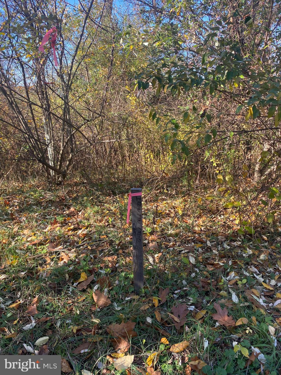70 Dark Hollow Road Shermans Dale, PA 17090 - Photo 8 of 15 Pin marker on rear left corner of lot