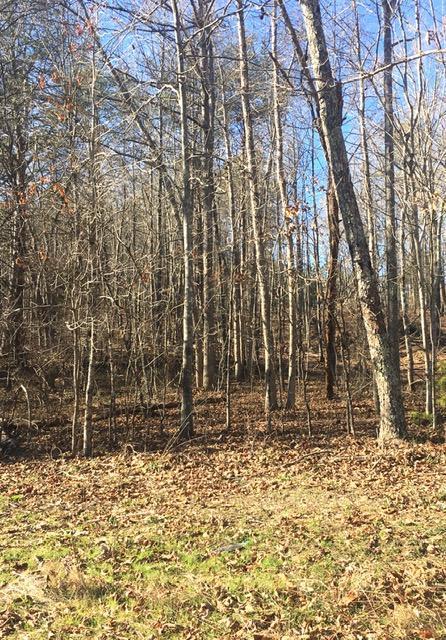 4443 Parker Loop Road, Unit TRACT 2 Birchwood, TN 37308 - Photo 1 of 9 IMG_0348