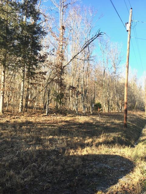 4443 Parker Loop Road, Unit TRACT 2 Birchwood, TN 37308 - Photo 5 of 9 IMG_0356