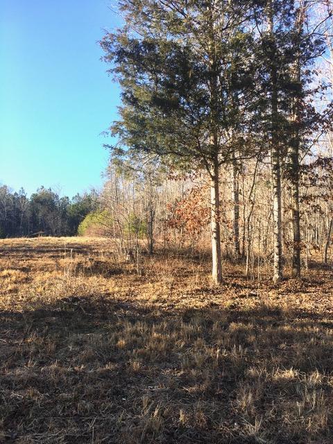 4443 Parker Loop Road, Unit TRACT 2 Birchwood, TN 37308 - Photo 7 of 9 IMG_0359