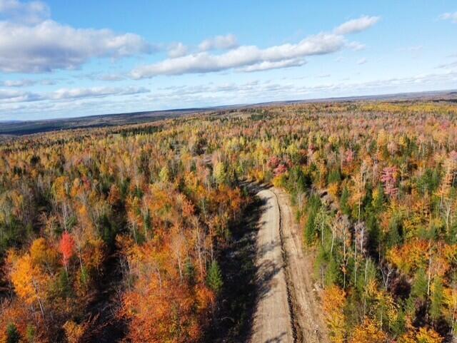 3145 State Road Castle Hill, ME 04757 - Photo 2 of 11 thumbnail_dji_fly_20241011_150524_367_17
