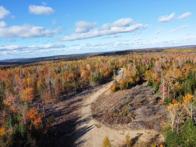 3145 State Road Castle Hill, ME 04757 - Photo 3 of 11 thumbnail_dji_fly_20241011_150254_358_17