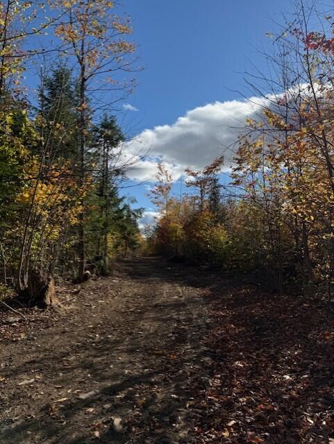 3145 State Road Castle Hill, ME 04757 - Photo 9 of 11 thumbnail_IMG_8028