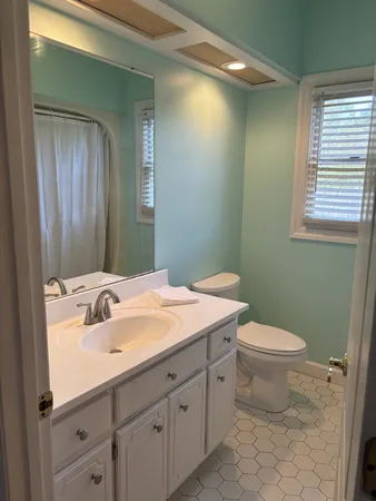 a bathroom with a sink and a toilet