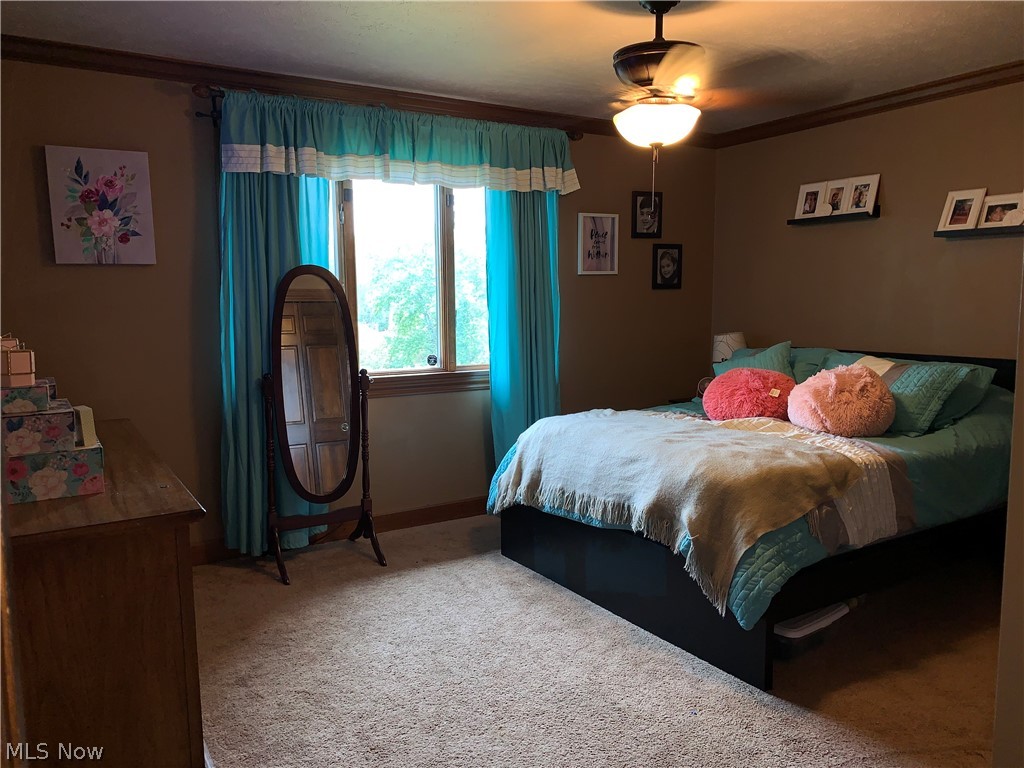 135 Preston Road Steubenville, OH 43953 - Photo 11 of 35 Gallery Image 11