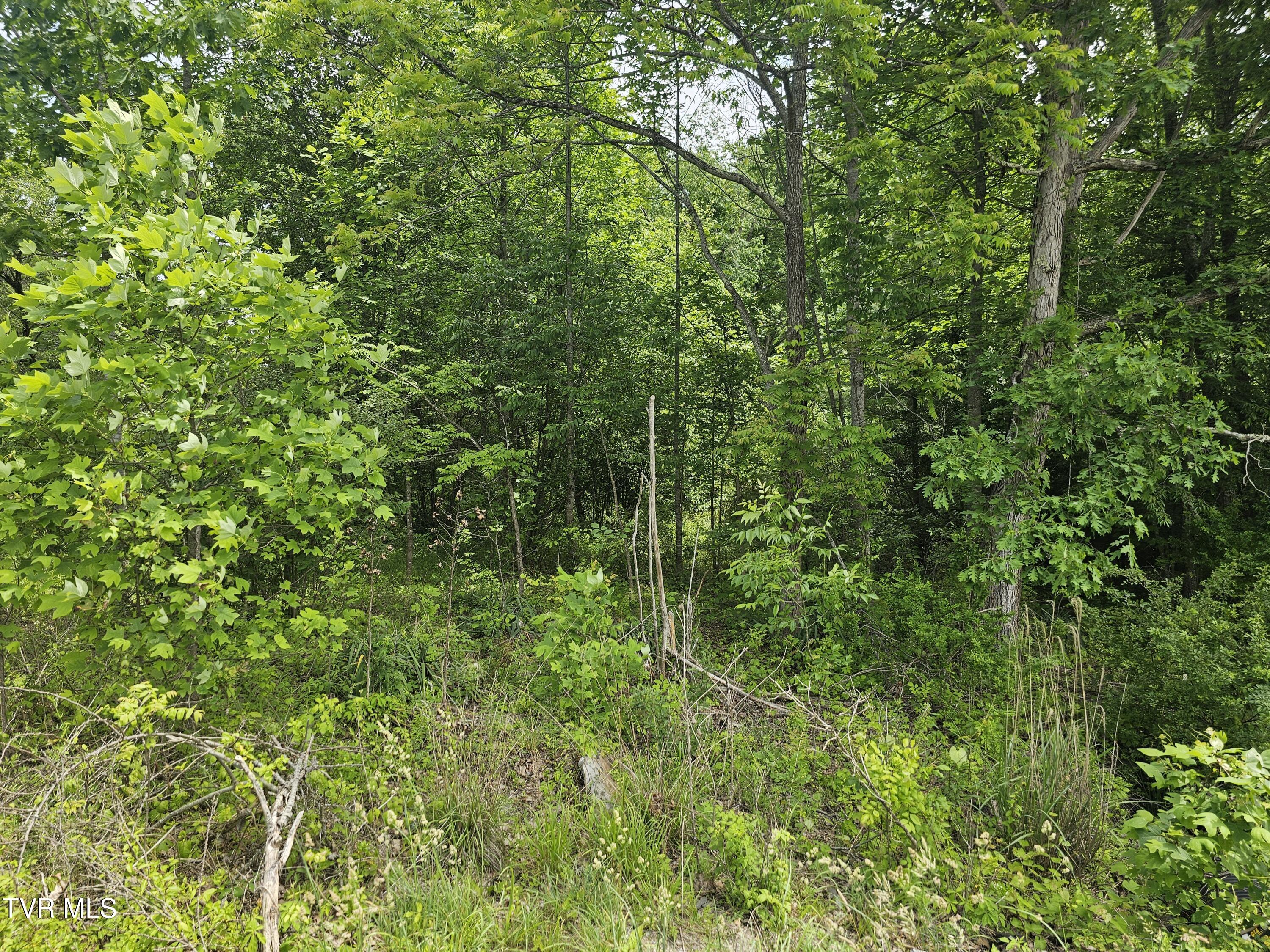 Tbd Hurricane Road Wise, VA 24293 - Photo 11 of 14 Off Gilliam Rd
