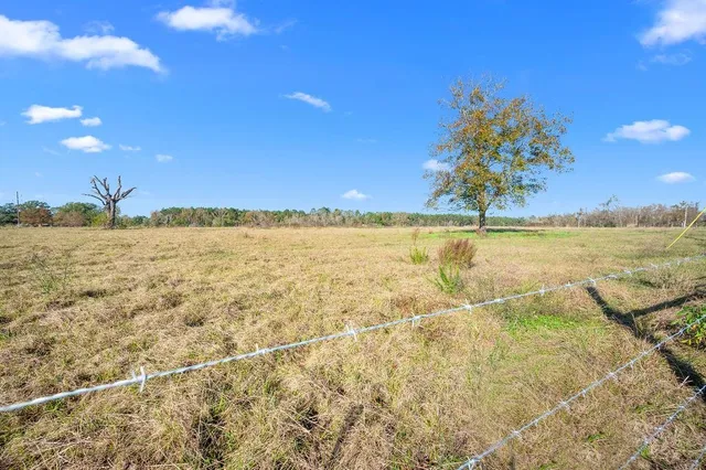 $325,000 | 784 Smith Road, Merryville, LA 70653