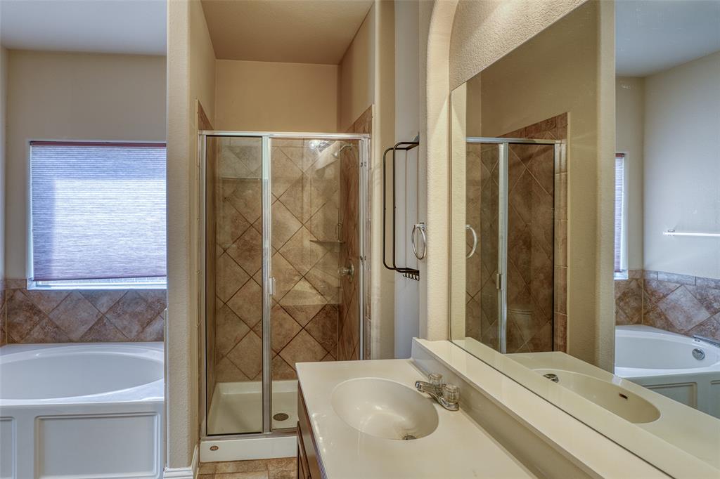 11033 Desert Willow Loop Austin, TX 78748 - Photo 9 of 19 a bathroom with a sink and a large mirror