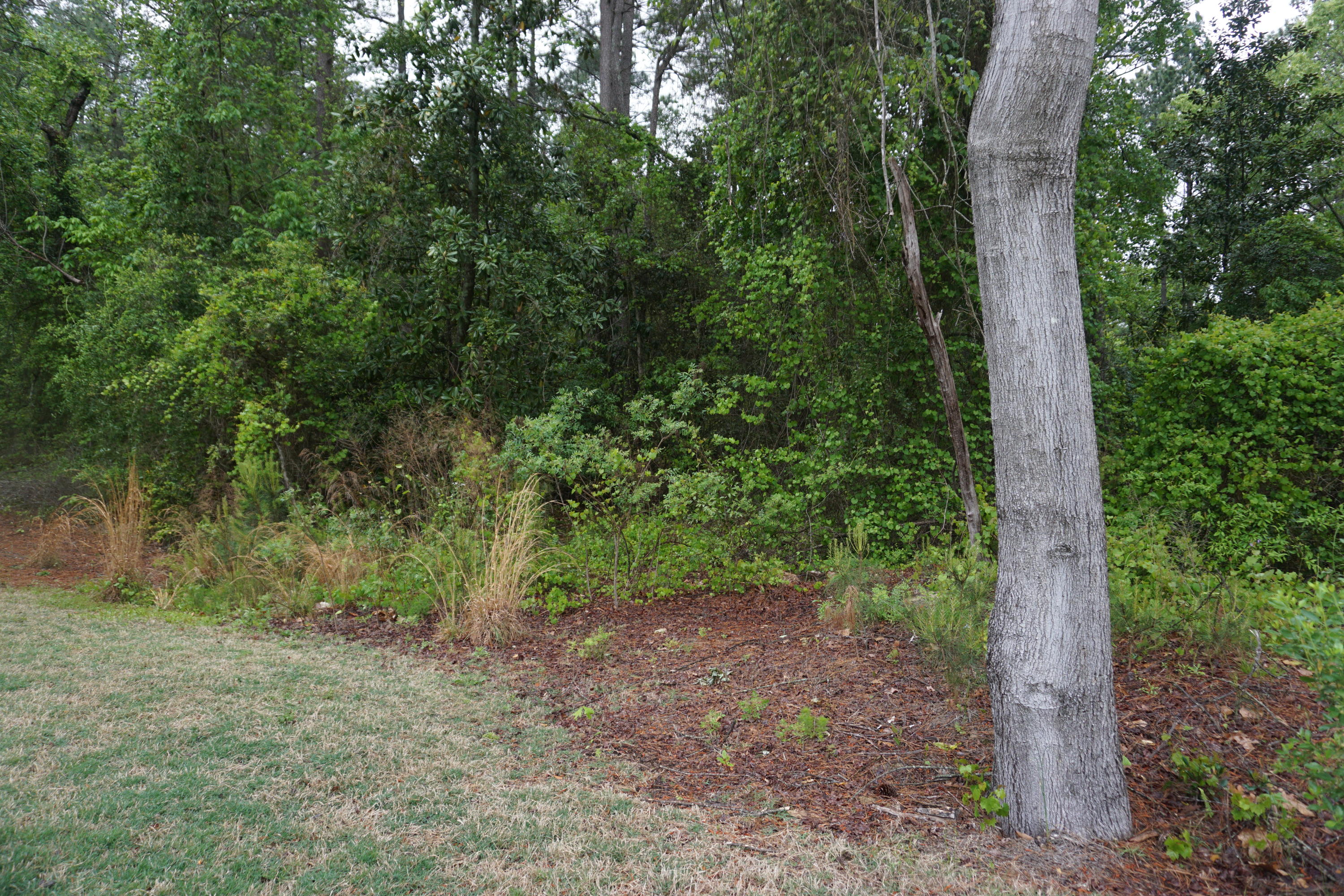 406 Yadkin Road Southern Pines, NC 28387 - Photo 38 of 45 DSC00562
