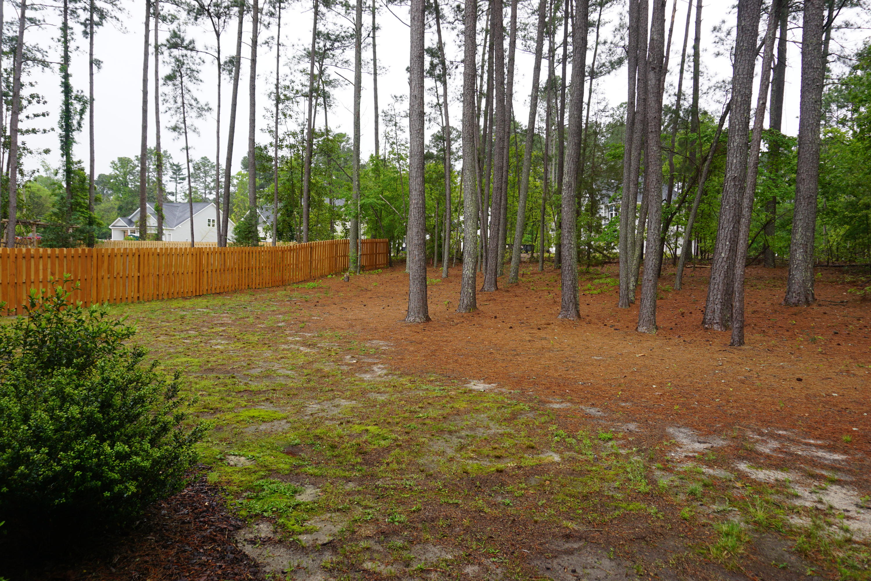 406 Yadkin Road Southern Pines, NC 28387 - Photo 40 of 45 DSC00513