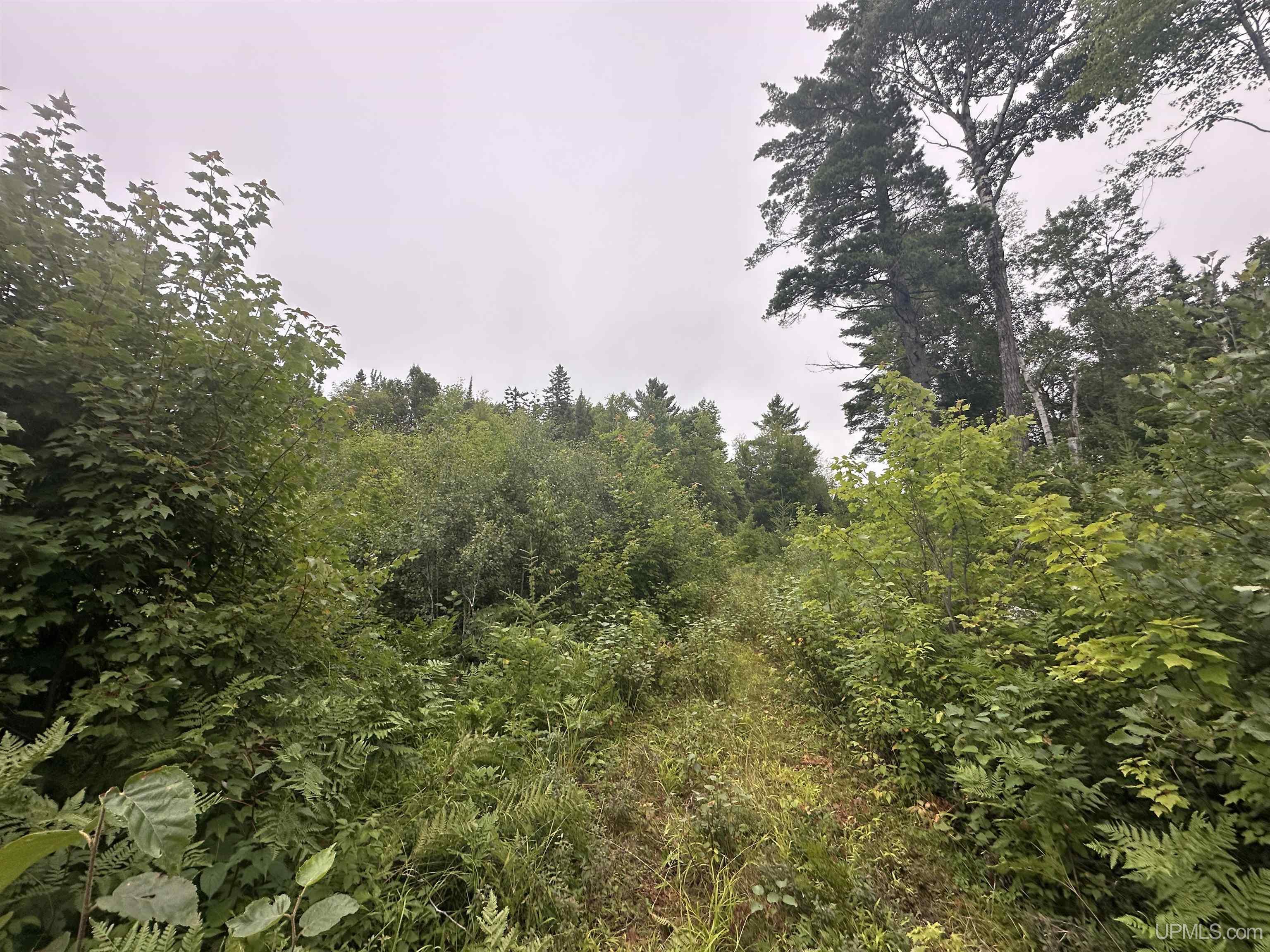 Off South Arfelin Lake Road Michigamme, MI 49861 - Photo 10 of 16