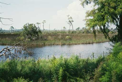 10513 Shorecrest Road Biloxi, MS 39532 - Photo 5 of 6 Additional Photo