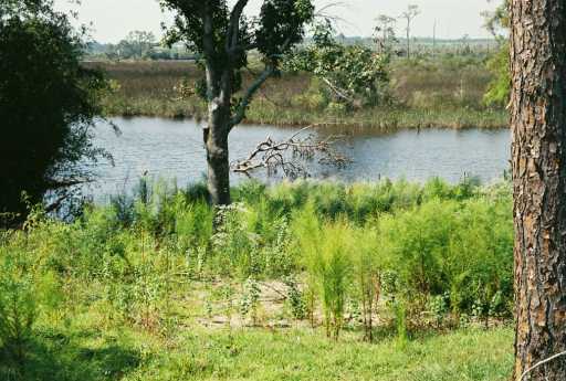 10513 Shorecrest Road Biloxi, MS 39532 - Photo 6 of 6 Additional Photo