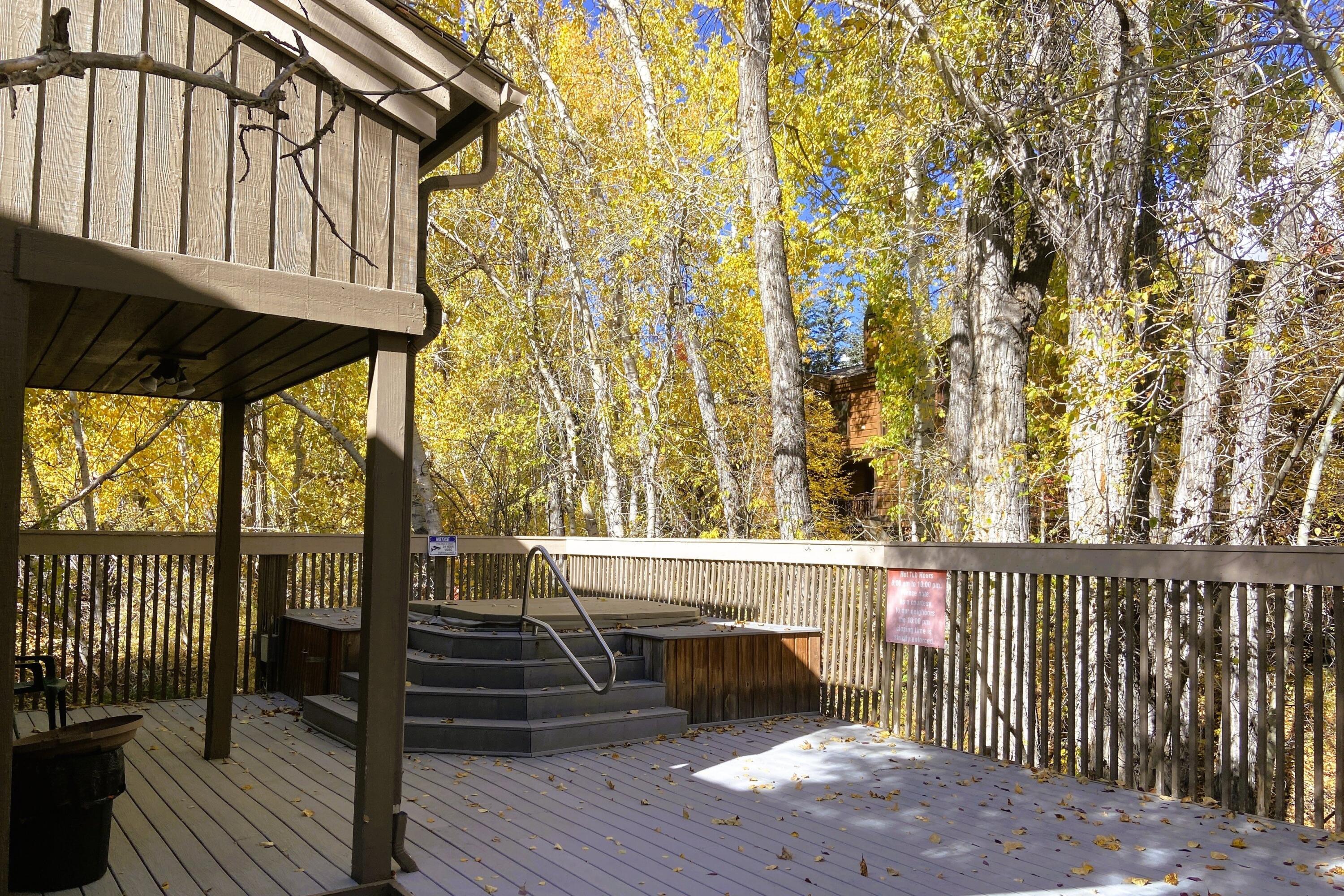 460 2nd Avenue South, Unit 30 Ketchum, ID 83340 - Photo 23 of 24 023_bridgepoint_hot_tub_979