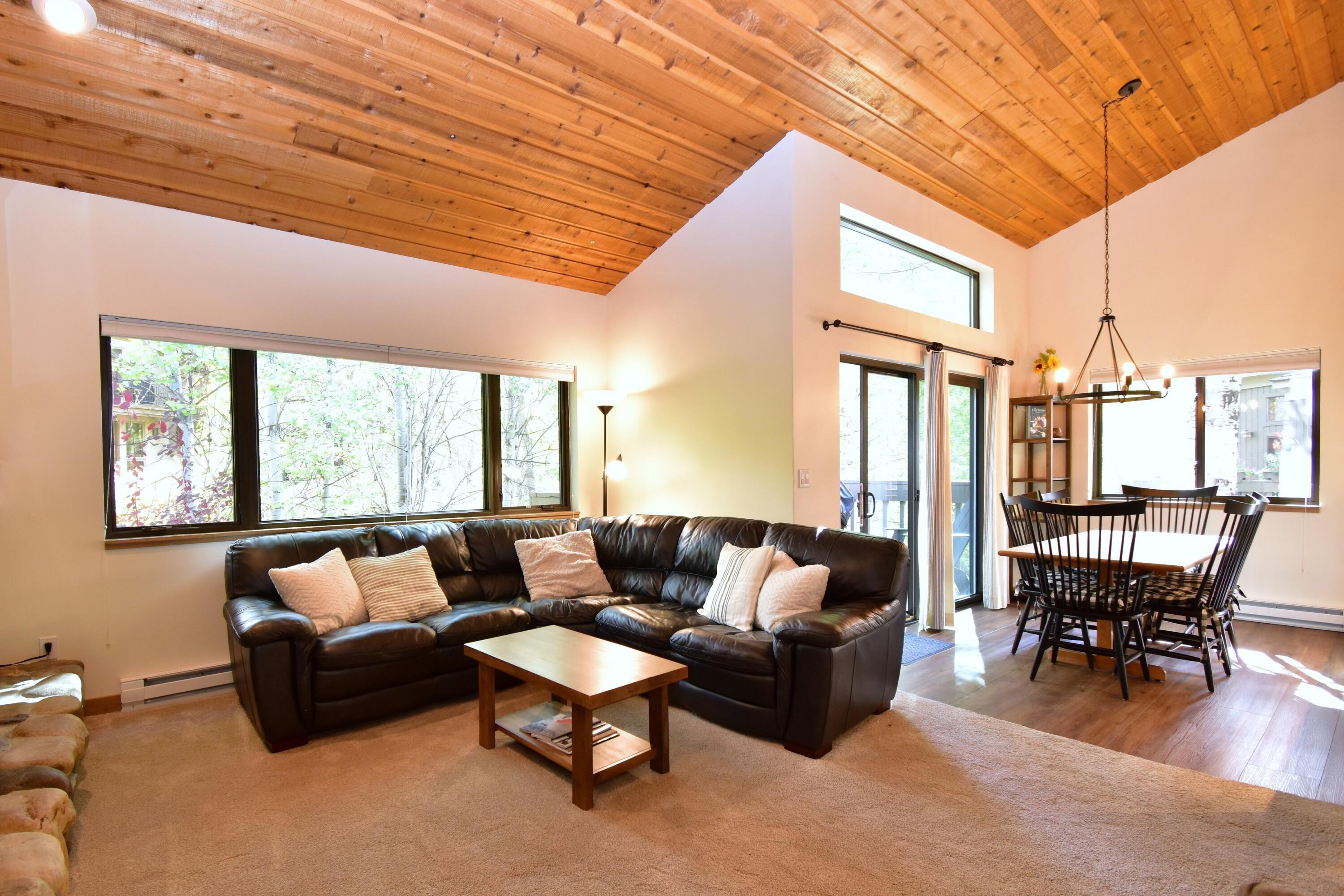 460 2nd Avenue South, Unit 30 Ketchum, ID 83340 - Photo 10 of 24 010_living_room_and_dining_area_494