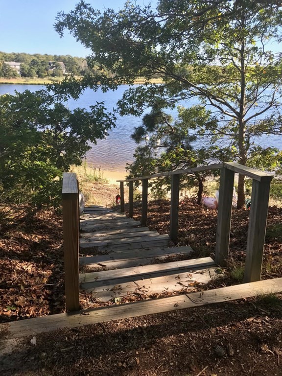 61 Tarpon Road Falmouth, MA 02536 - Photo 41 of 42 a view of a yard and tree