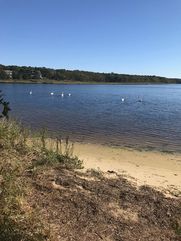 61 Tarpon Road Falmouth, MA 02536 - Photo 42 of 42 a view of lake view and mountain view