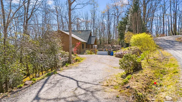a view of path along with trees