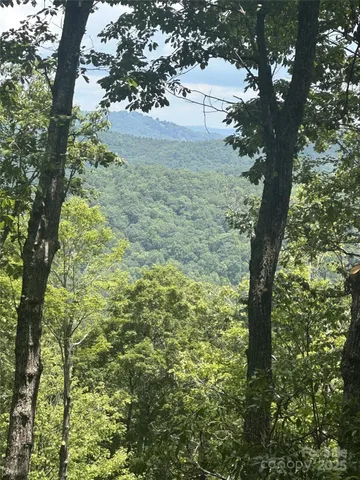 a view of a yard with plants and trees