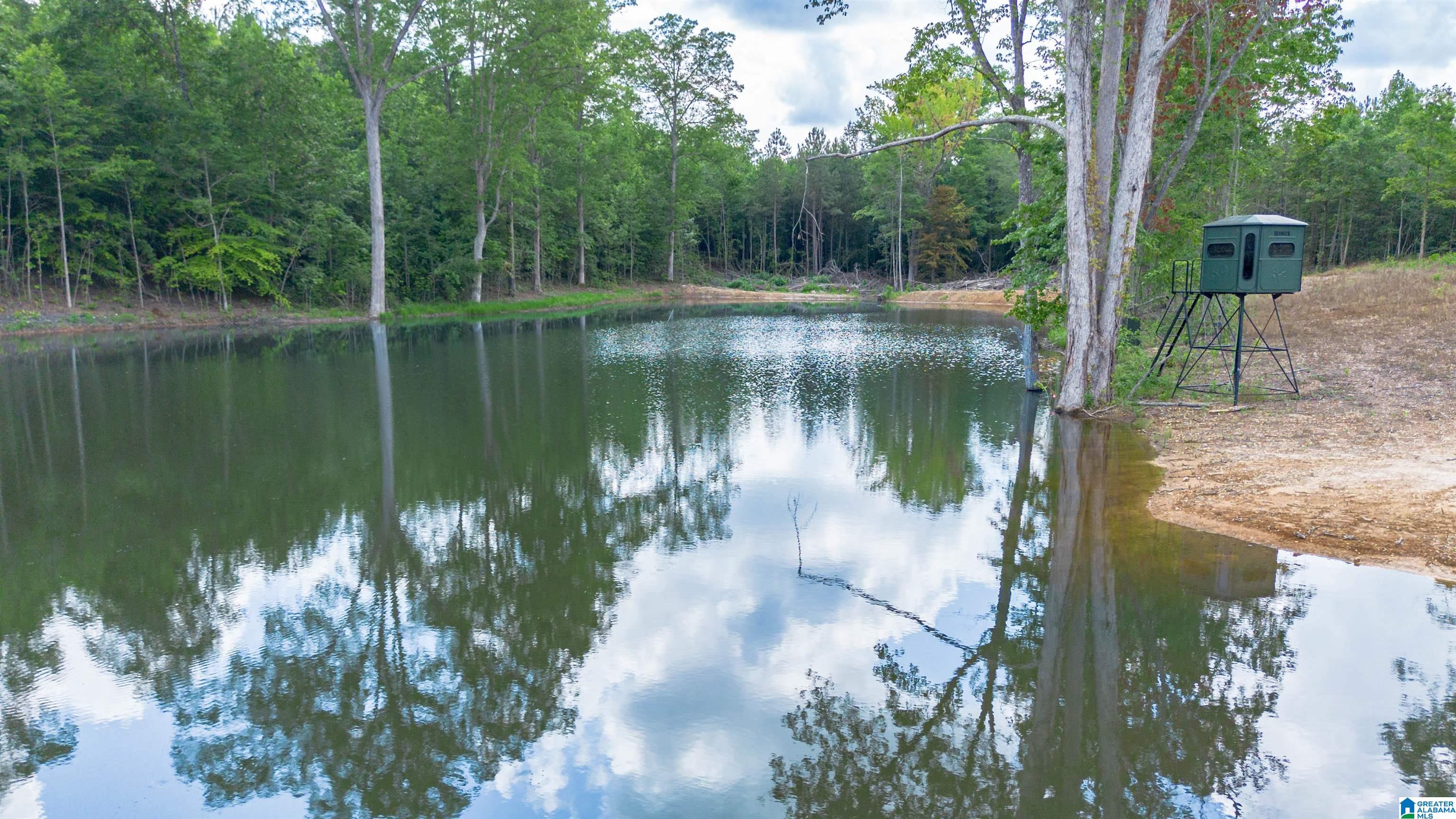 Vineyard Road, Unit 1 2 4 5 6 Fruithurst, AL 36262 - Photo 14 of 19