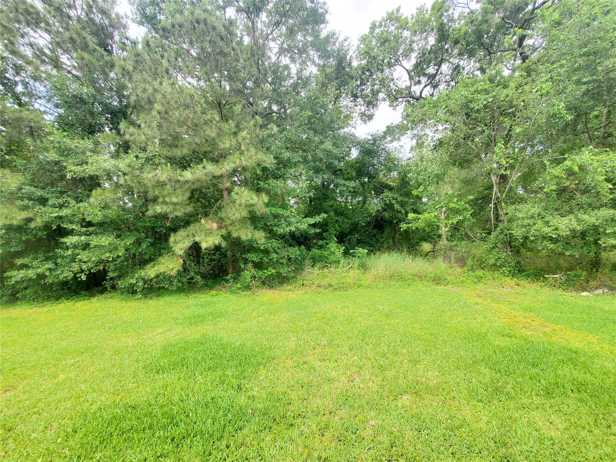 1306 North 9th Street Conroe, TX 77301 - Photo 46 of 47 a view of yard with green space